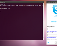 Skype в Ubuntu 11.04