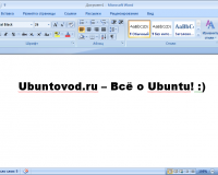 Установка Microsoft Office 2007 в Ubuntu