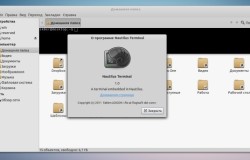 Nautilus Terminal — Встраиваем терминал в Nautilus