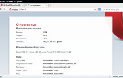Релиз Opera 12.02