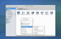 Тема Greybird была переработана под Xubuntu 12.10