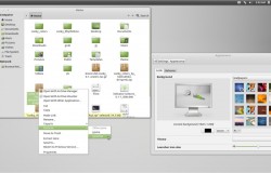 Установка оформления Linux Mint 13 в Ubuntu 12.04