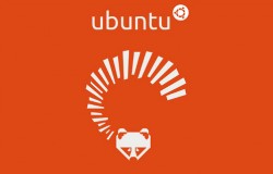 Обзор Ubuntu 13.04