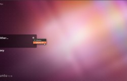 В Ubuntu 11.10 LightDM включен по умолчанию