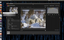 Darktable — Открытое приложение для фотографов