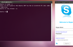 Skype в Ubuntu 11.04