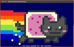 Nyancat в терминале