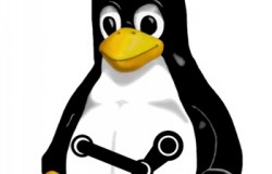 Valve ищет разработчика под Linux