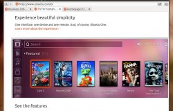 Epiphany 3.3.4 в репозиториях Ubuntu 12.04