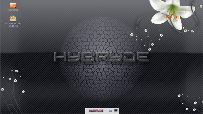 HYBRYDE Linux Distribution