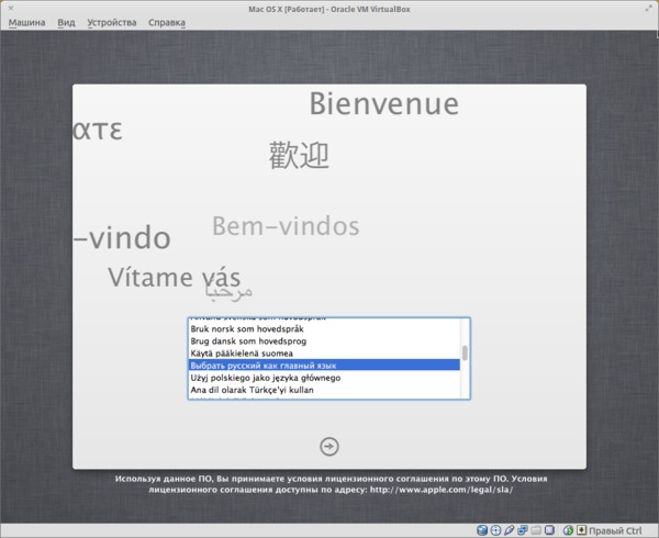 Установка Mac OS X Mountain Lion в Virtualbox (Ubuntu)