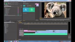 Монтаж видео в программе Adobe Premiere Pro CS6